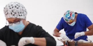 Veterinarios Zootecnistas desempeñan un trabajo crucial en la salud pública: SSO