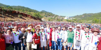 DETRÁS DE LA NOTICIA: Amapola regada con la sangre triqui, tráfico de armas y niñas