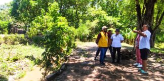 Despliegan SSO brigadas de atención en San Pedro Tapanatepec