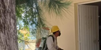 Exhorta SSO a personas con enfermedades crónicas a extremar medidas preventivas contra dengue