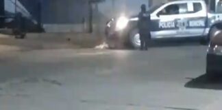 Investiga Fiscalía de Oaxaca delito de Crueldad Animal ocurrido en Ocotlán de Morelos
