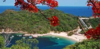Las 3 playas más bonitas de todo Oaxaca que no son Huatulco y tienes que conocer