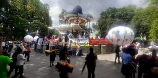 Galleros exigen respeto a tradiciones y fuentes de empleo