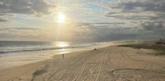 Piden ayuda para salvar última playa virgen en Oaxaca