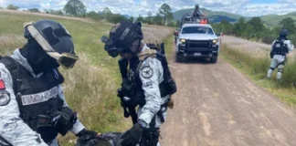 Asegura GN 927 paquetes de marihuana en Tlaxiaco