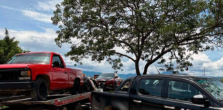 Asegura Fiscalía a 8 personas y vehículos robados en Centro de Rehabilitación