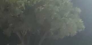 Detienen a presunto implicado en homicidio ocurrido en el Puente Valerio Trujano