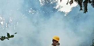 Previo a celebración de Día de Muertos, realiza SSO acciones de termonebulización en panteones