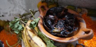 Recomienda SSO evitar excesos en consumo de grasas y azúcares durante festividad de Día de Muertos