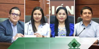 Revoca TEEO acuerdo del IEEPCO sobre medidas cautelares por publicidad de diputada de Morena