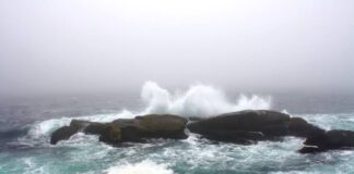 Se registrará oleaje elevado en Golfo de Tehuantepec por depresión tropical