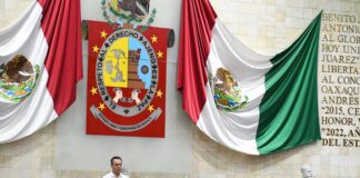 Busca Congreso sancionar la destrucción de colmenas de abejas polinizadoras