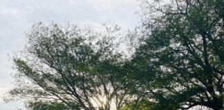 Estalla paro de labores en el Cobao