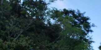 Un muerto y 30 lesionados, saldo de fuerte accidente en Tlaxiaco