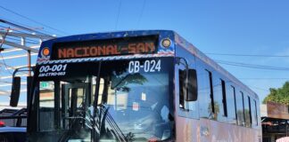 Ofrece ruta RC01 de Citybus mayor cobertura durante el día y la noche