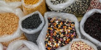 Invita Gobierno de Oaxaca a Feria Estatal de la Agrobiodiversidad