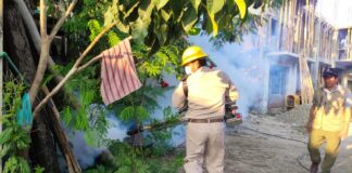 Refuerza SSO acciones de prevención y entornos saludables contra el dengue
