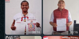 Cuatro morenistas van por las dos candidaturas al Senado