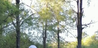 La atlética IMSS – Monte Albán cumple 40 ediciones