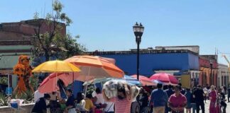 El negocio del municipio de Oaxaca de Juárez es el comercio informal y las “cantinas ambulantes”