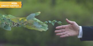 Presentan amparo para exigir al gobierno federal el listado de zonas contaminadas