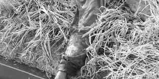 Logra Fiscalía de Oaxaca detención de un hombre por muerte violenta de una mujer perpetrada en colonia Renacimiento