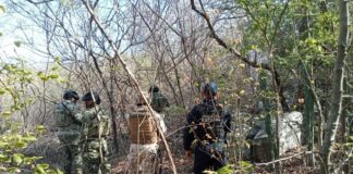 En una acción conjunta, SSPC localiza toma clandestina de hidrocarburos en Salina Cruz