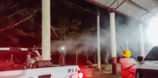 Fundamental seguir con medidas preventivas contra el dengue: SSO