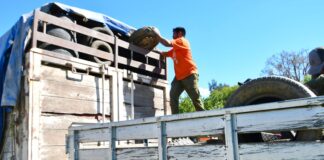 Realiza Gobierno de Oaxaca acopio de neumáticos en desuso