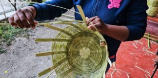 Mediante cursos Icapet promueve preservación de la cultura oaxaqueña