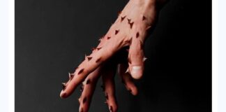 La impunidad en los delitos contra las mujeres: Un desafío para el 2024