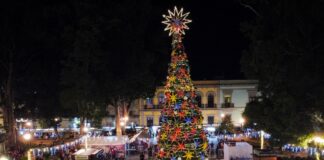 Con encendido de árbol de navidad comienzan las fiestas decembrinas en Oaxaca