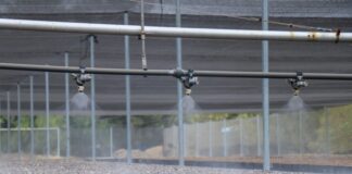 Icapet y Coesfo ponen en marcha curso sobre producción de plantas forestales