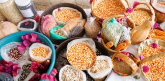 Continuará Gobierno de Oaxaca rescate del campo oaxaqueño en 2024