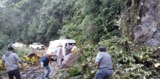 Interviene Protección Civil ante derrumbe en carretera de Valle Nacional