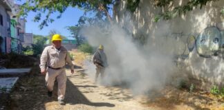 Exhorta SSO a mantener medidas preventivas contra el dengue durante invierno