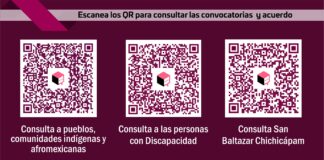 El IEEPCO llevará a cabo tres consultas ciudadanas en los primeros meses de 2024.