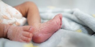 Reporta SSO primer nacimiento del 2024