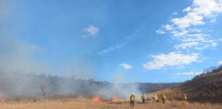Atiende Coesfo dos incendios suscitados en Valles Centrales