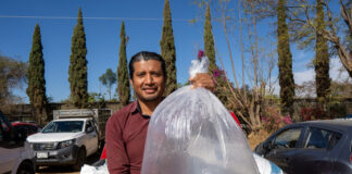 Entrega Sefader crías de peces a personas productoras de Valles Centrales y Sierra Sur