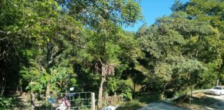 Eliminan a operador criminal de la Costa; cae en cumplimento del deber un agente de la AEI.