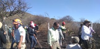 Protección Civil evalúa zona por potencial riesgo de incendio en agencia de Pueblo Nuevo