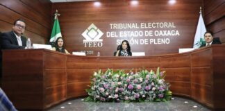 Informe de magistrada del Tribunal Estatal Electoral