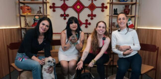 ’’Es mejor adoptar’’: Claudia Sheinbaum destaca la importancia de rescatar animales en situación de calle