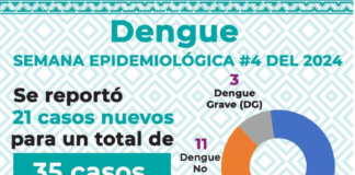 Cierra enero con 35 casos de dengue: SSO