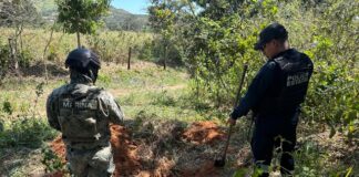 Localiza SSPC toma clandestina de hidrocarburo en el Istmo de Tehuantepec