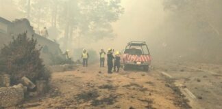 Incendio forestal arrasa con casas, autos y bosque