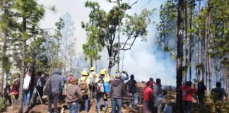 Reporta Coesfo control del 50% en incendio de la Sierra Sur