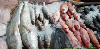 Realiza SSO Operativo Cuaresma Limpia 2024