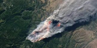 Incendio forestal de Ixtepeji arrasó con 300 hectáreas y cinco viviendas; ya está controlado.